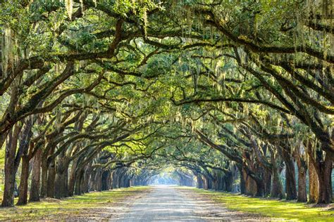 3 Day Trips for Kiawah Island Residents | Kiawah Island Real Estate