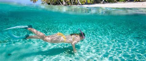 Snorkeling in PUNTA CANA with Dressel Divers | Best Reefs