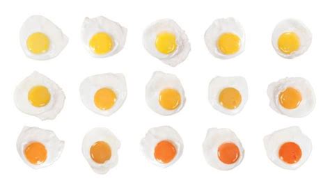 Different yolks for different folks: Why we judge an egg by its colour ...