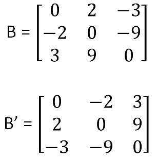 Symmetric & Skew Symmetric matrices - Definition with Examples