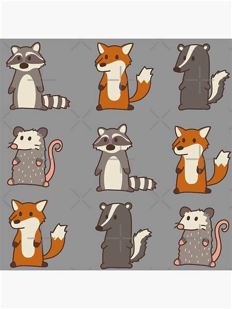 "fox, raccoon, opossum & skunk woodland friends #3" Poster for Sale by sivelobanova | Redbubble