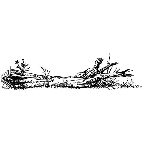 Log & Grass 63E | Log drawing, Landscape sketch, Graphic poster art