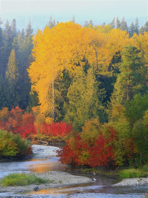 Lake Wenatchee State Park, a Washington State Park