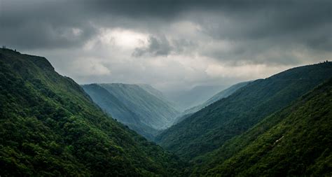 Meghalaya Subtropical Forests | One Earth