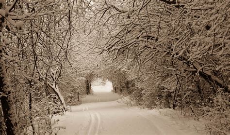 Snowy day in Ottawa. | Smithsonian Photo Contest | Smithsonian Magazine