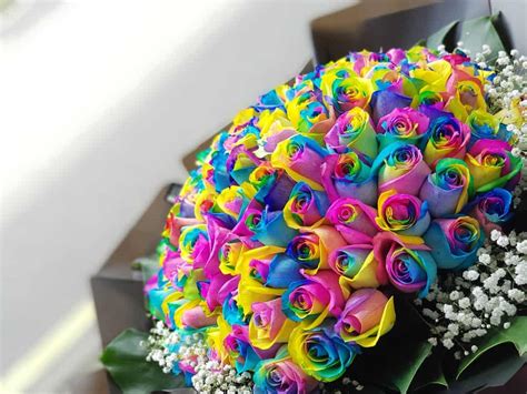 Use A Rainbow Roses Bouquet As A Decoration Or A Gift To Your Loved One » FloraQueen EN