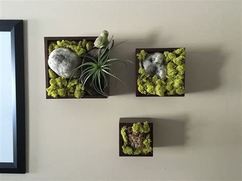 15 Best Air Plant Wall Art