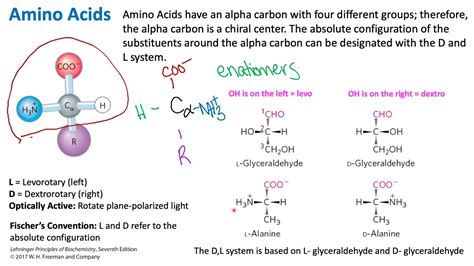 Stereochemistry of Amino Acids | Biochemistry - YouTube