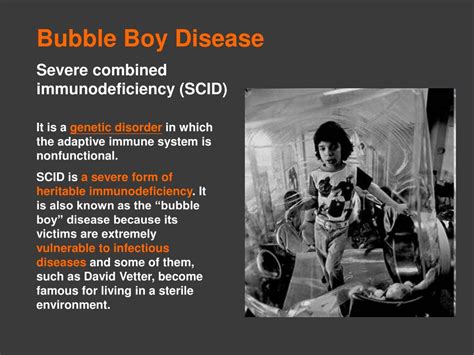 PPT - Bubble Boy Disease PowerPoint Presentation, free download - ID:3991172