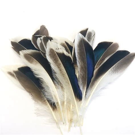 Natural Mallard Duck Wing Feathers x 10 pcs ( Style 1 ) – Feather.com.au