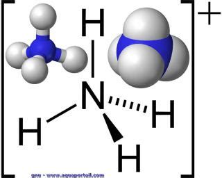 Ammonium : définition et explications