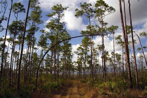 Best Hiking and Biking Trails in the Everglades – Everglades National ...