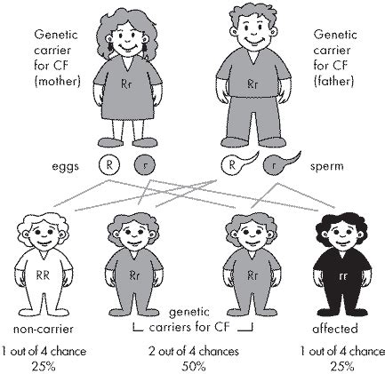 Genetics CF - Google Images | Science biology, Science education, Genetics