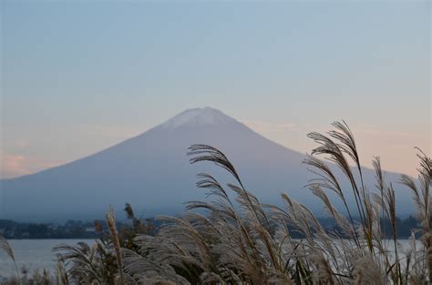 Fuji Five Lakes: Best Photo Spots of Mt.Fuji!! - Japan Web Magazine