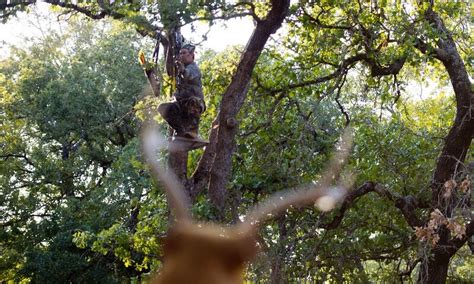 12 Tips for Deer Stand Placement Strategy & Setup ⋆ Advanced Hunter