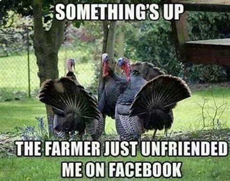 25+ Hilarious Thanksgiving Memes That Will Make You Giggle