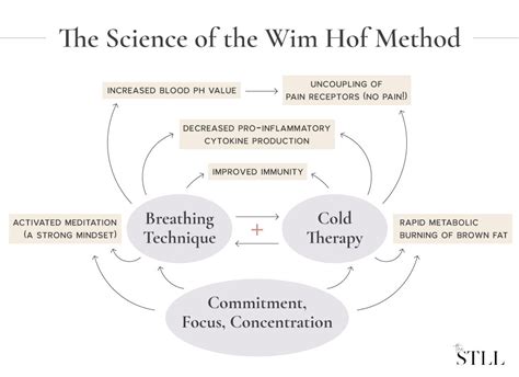 Wim hof method stanford - foundryfer