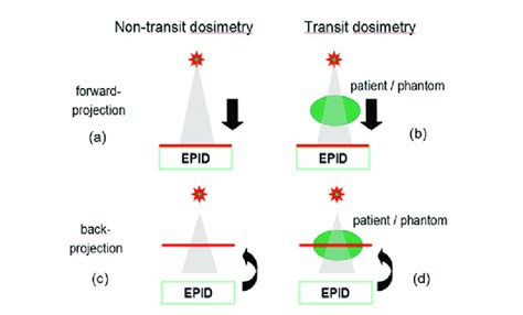 Schematic representation of the various dosimetric applications of... | Download Scientific Diagram