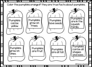 Pumpkin Patch Activities by TheBeezyTeacher | Teachers Pay Teachers