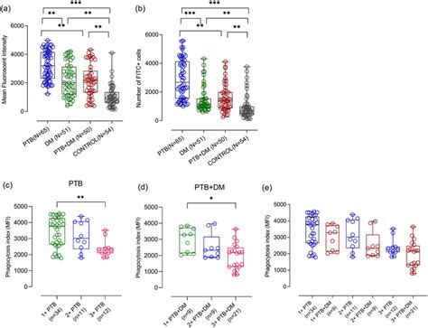 Phagocytosis capacity of monocyte‐derived macrophages of study... | Download Scientific Diagram