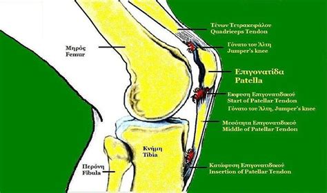 Knee Cap Pain | Healthhype.com