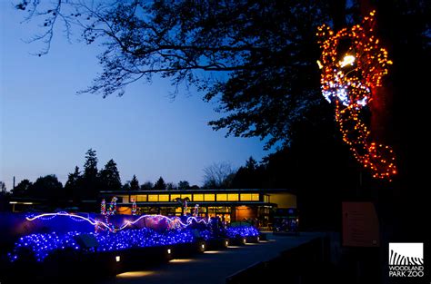 WildLights kicks off at Woodland Park Zoo tonight – My Ballard