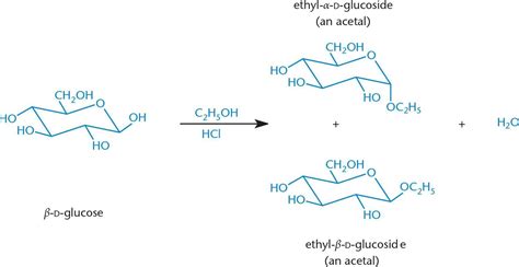 LY Glycosidic Linkage Formation | Biochemistry, Mcat, Biology