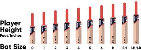 Size Guide - Firecrest Cricket