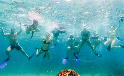 Cabo Snorkel Tour: Exploring the Best Snorkeling Spots in Los Cabos - Cabo Sailing