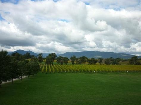 Rochford Wines Yarra Valley (Coldstream): UPDATED 2020 All You Need to ...