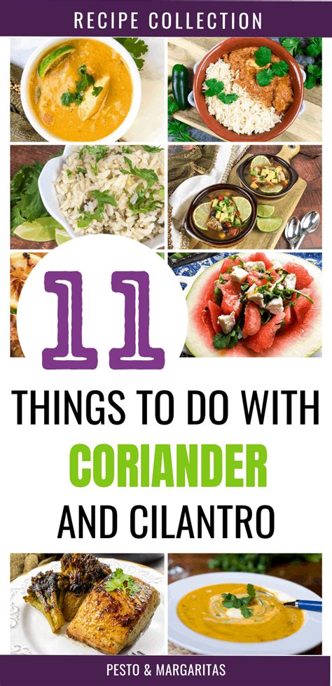 How to Use Coriander and Why It is Healthy | Recipe | Coriander recipes ...