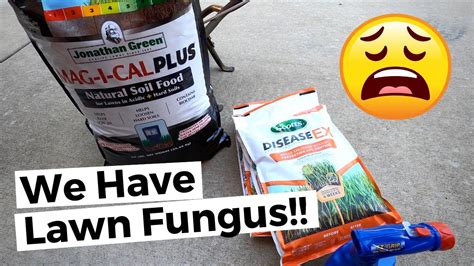 Controlling Brown Patch Fungus In The Lawn With Fungicide Applications ...