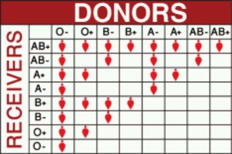 Blood types: donors and receivers | My Science | Pinterest