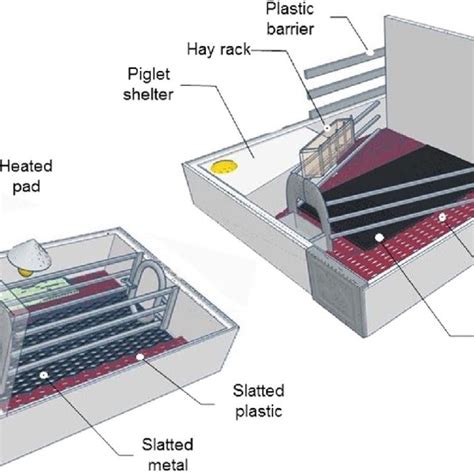 Farrowing process and litter characteristics in sows with the farrowing... | Download Scientific ...