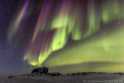 Polar Bears of Baffin Island by Jonathan Huyer - The Canadian Nature ...