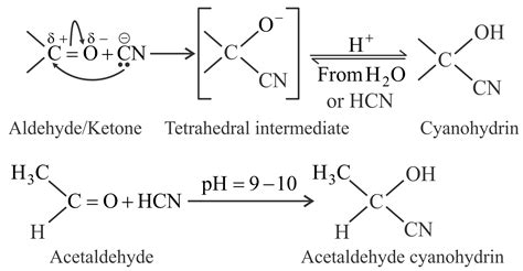 Acetone on reaction with HCNgives one compound whereas acetaldehyde gives two compounds that are ...