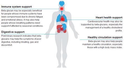 Beta Glucan | Health Benefits of Beta Glucan - Xtend-Life Natural Products