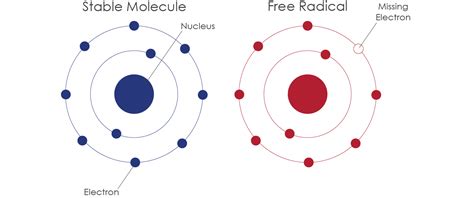 Free Radicals: Enemies Within. What Are They And How Are They Formed - Look Feel Better Today