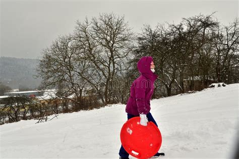 Family Sledding on a Hill in Winter on Snow Stock Photo - Image of face ...