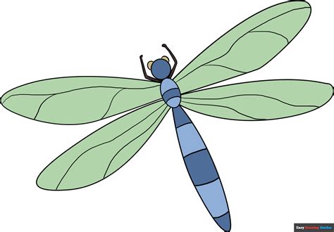 How to Draw a Dragonfly - Really Easy Drawing Tutorial