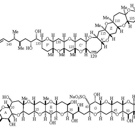 Complex structure of maitotoxin. | Download Scientific Diagram