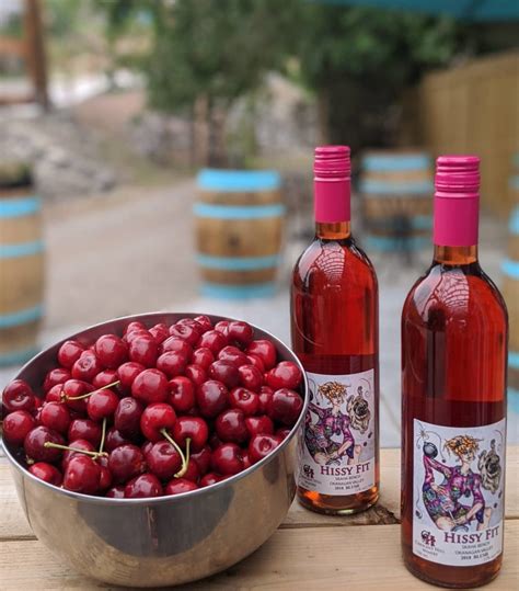 12 Best Wineries In Penticton, BC | Drink Tea & Travel