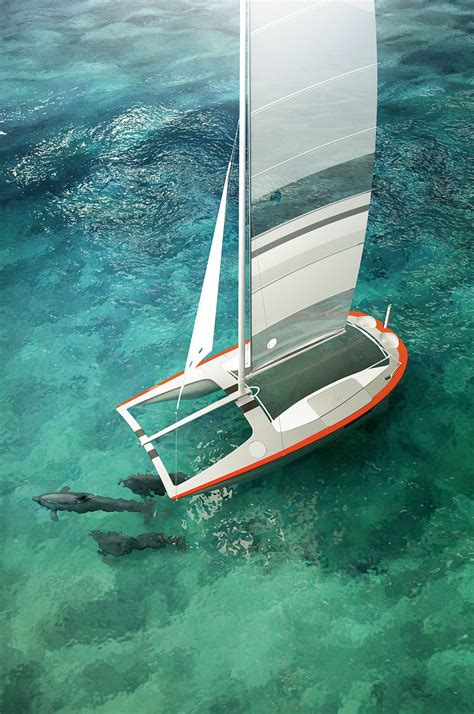 Catamaran | Catamaran, Sailing yacht, Sailing catamaran