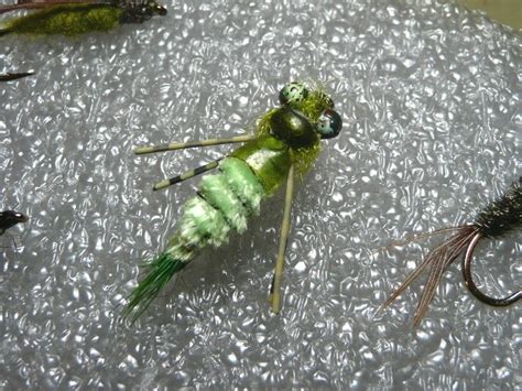 Gord's Molting Dragonfly Nymph BC Fly Fishing Pattern