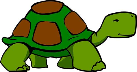 Cartoon Turtle, Picture Dictionary, Singing Time, Png, Cartoon Clip Art, Free Clip Art, Free ...