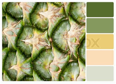 Pineapple.Color palette with ... | Stock image | Colourbox