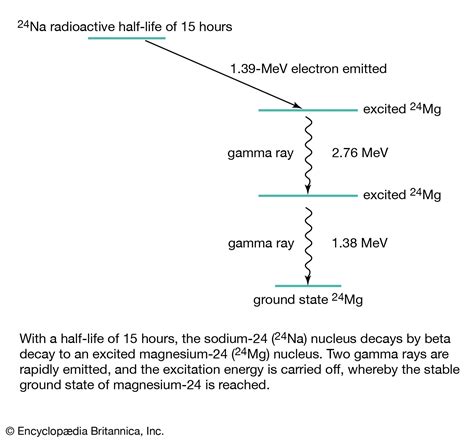 Beta-plus decay | Britannica