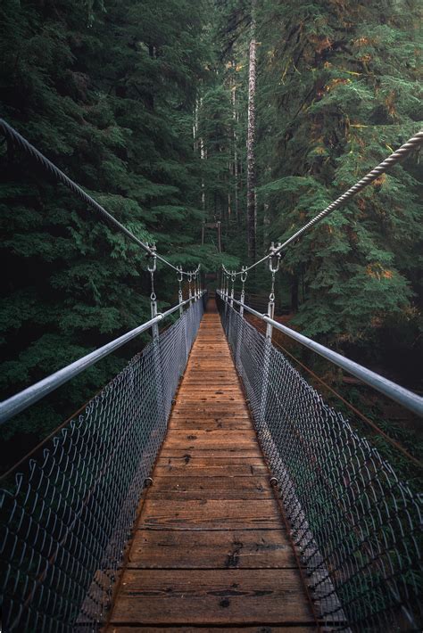 1000+ Interesting Bridge Photos · Pexels · Free Stock Photos