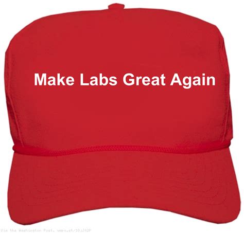 blank red MAGA hat Meme Generator - Piñata Farms - The best meme ...