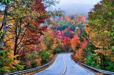 10 Must-Go Places To See Fall Colors In North Georgia